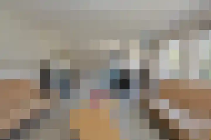 Schijfkamille 19 Breda thumbnail 6
