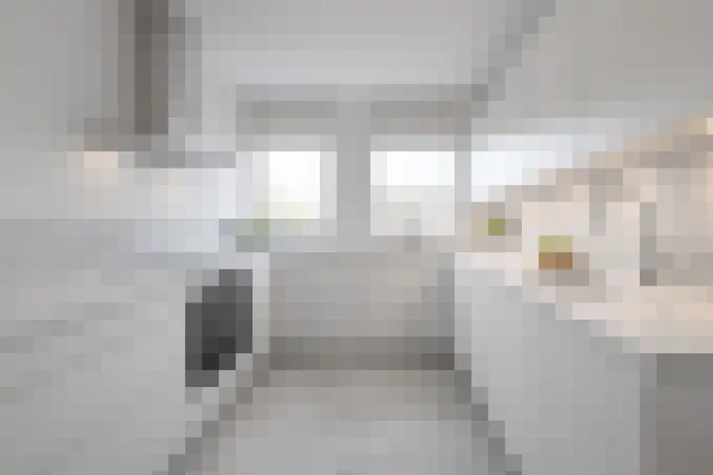 Schijfkamille 19 Breda thumbnail 6