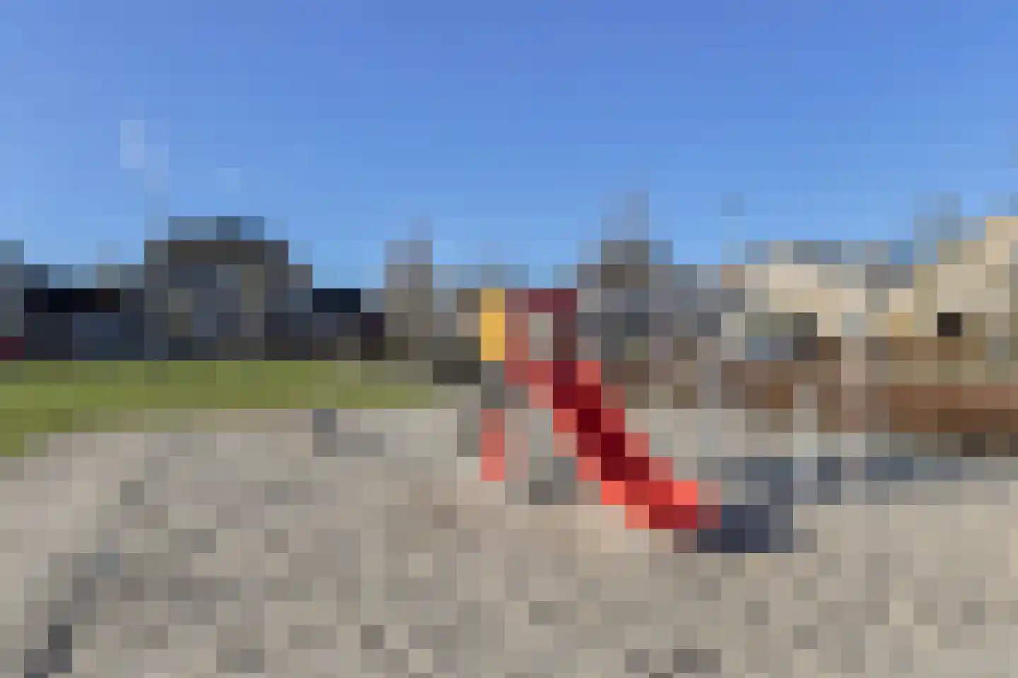 Schijfkamille 19 Breda thumbnail 60