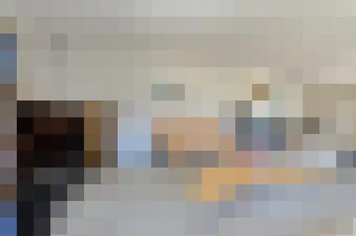 Schijfkamille 19 Breda thumbnail 7