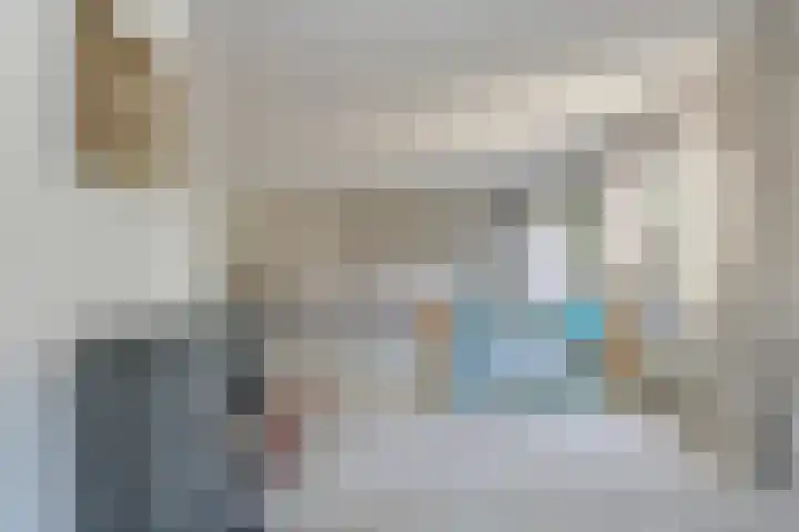 Schijfkamille 19 Breda thumbnail 8