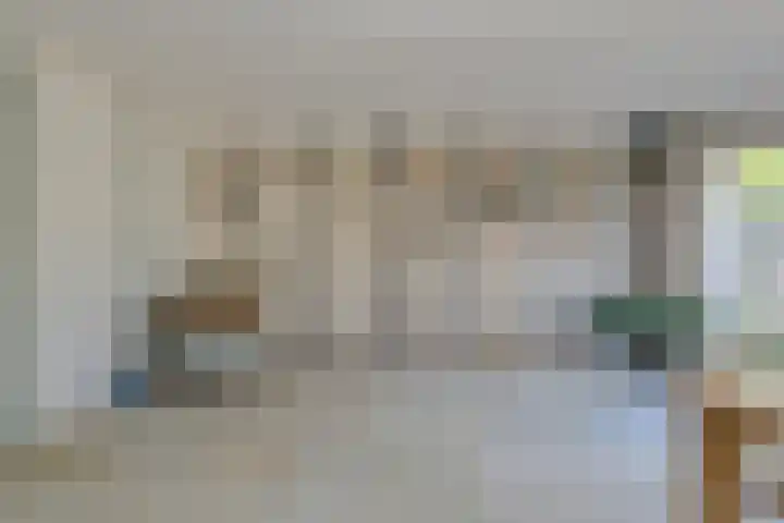 Schijfkamille 19 Breda thumbnail 9