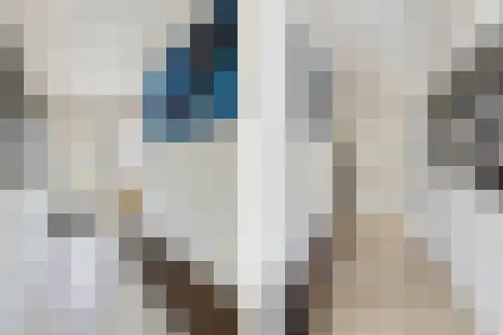 Schijfkamille 9 Breda thumbnail 12
