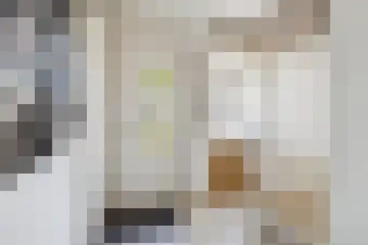 Schijfkamille 9 Breda thumbnail 13