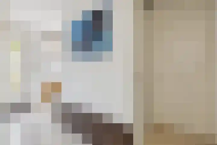 Schijfkamille 9 Breda thumbnail 15