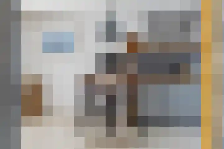 Schijfkamille 9 Breda thumbnail 17