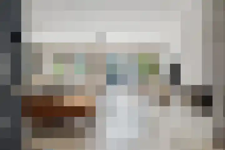 Schijfkamille 9 Breda thumbnail 18