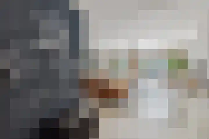 Schijfkamille 9 Breda thumbnail 19