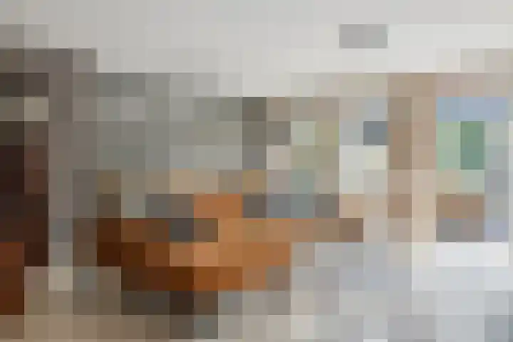 Schijfkamille 9 Breda thumbnail 21