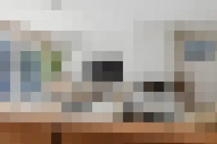 Schijfkamille 9 Breda thumbnail 24