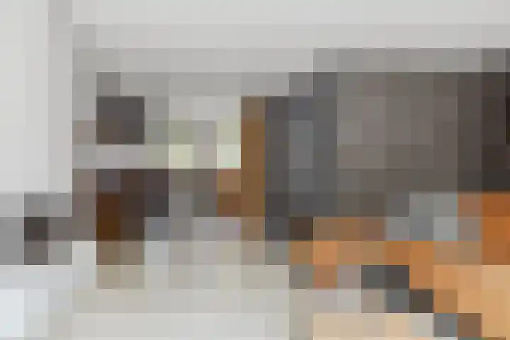 Schijfkamille 9 Breda thumbnail 25
