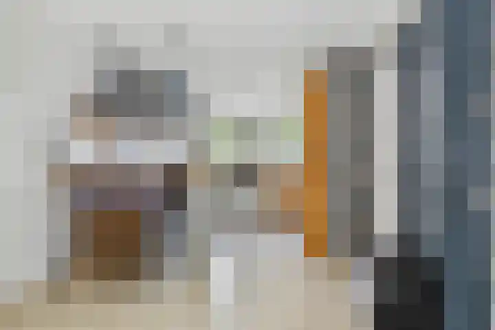 Schijfkamille 9 Breda thumbnail 27
