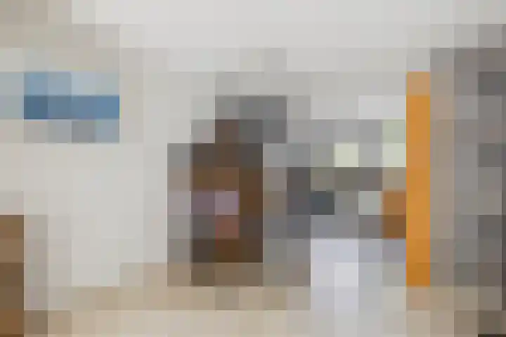 Schijfkamille 9 Breda thumbnail 28