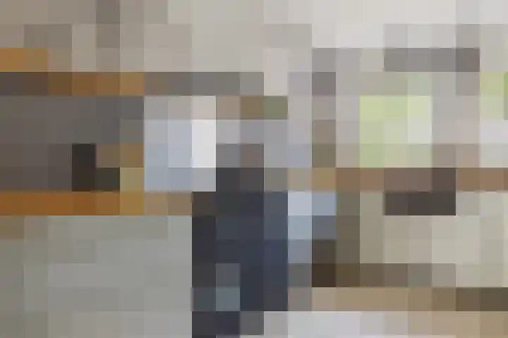 Schijfkamille 9 Breda thumbnail 29