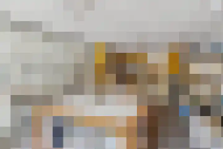 Schijfkamille 9 Breda thumbnail 37