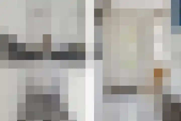 Schijfkamille 9 Breda thumbnail 38