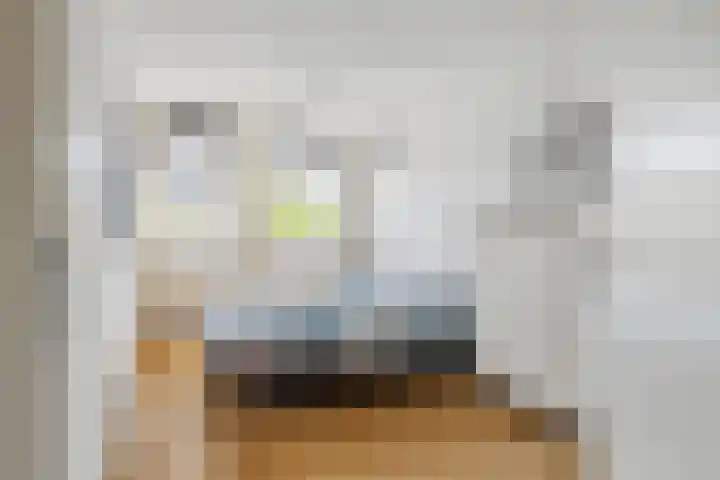 Schijfkamille 9 Breda thumbnail 4