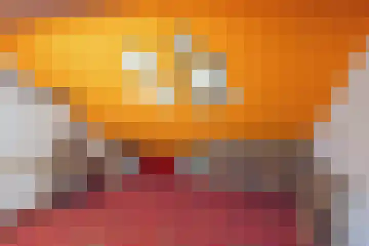 Schijfkamille 9 Breda thumbnail 42