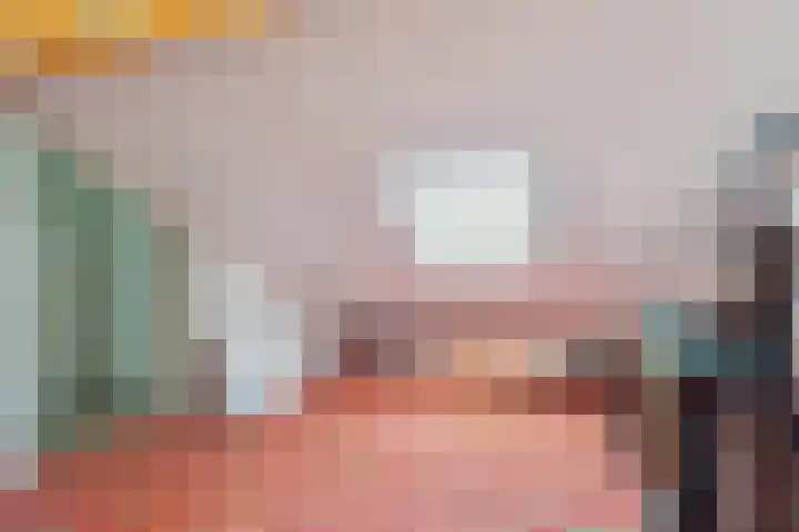 Schijfkamille 9 Breda thumbnail 43