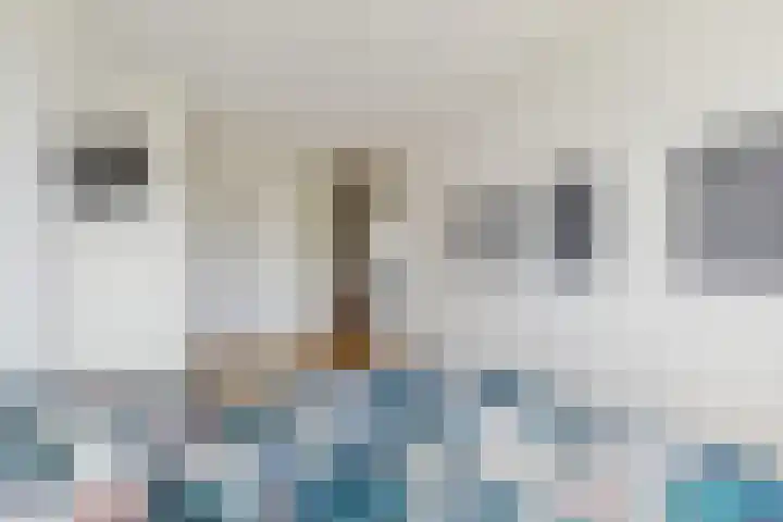 Schijfkamille 9 Breda thumbnail 47
