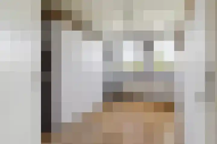 Schijfkamille 9 Breda thumbnail 48