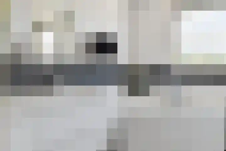 Schijfkamille 9 Breda thumbnail 52