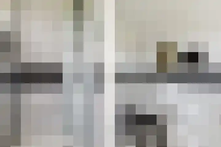 Schijfkamille 9 Breda thumbnail 55