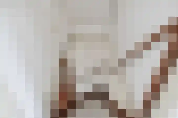 Schijfkamille 9 Breda thumbnail 56