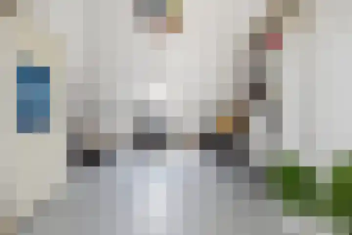 Schijfkamille 9 Breda thumbnail 57