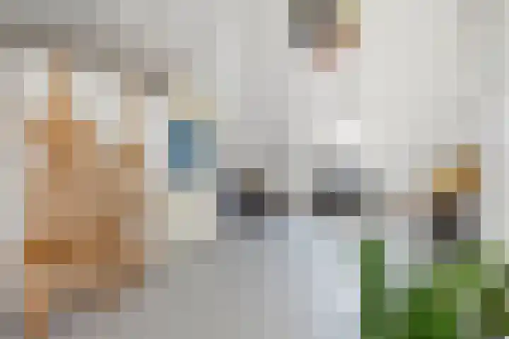 Schijfkamille 9 Breda thumbnail 58