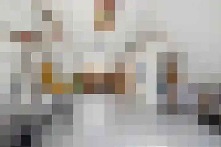 Schijfkamille 9 Breda thumbnail 59