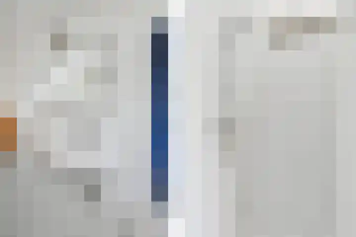 Schijfkamille 9 Breda thumbnail 64