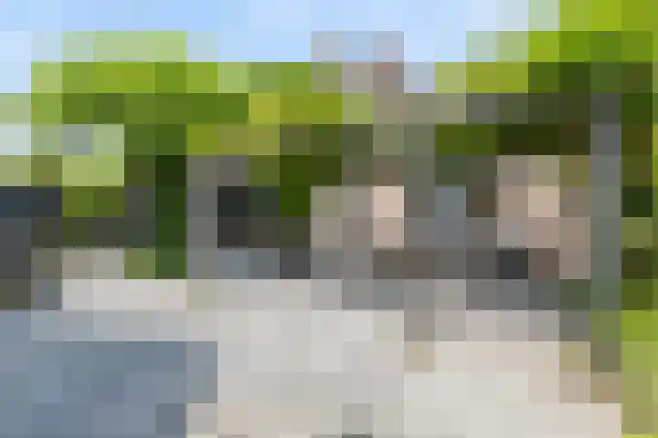 Schijfkamille 9 Breda thumbnail 67