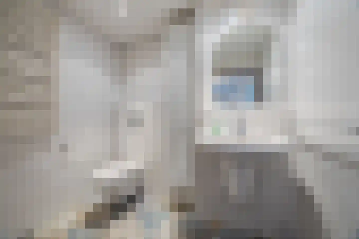 Schijflaan 15 Delft thumbnail 5
