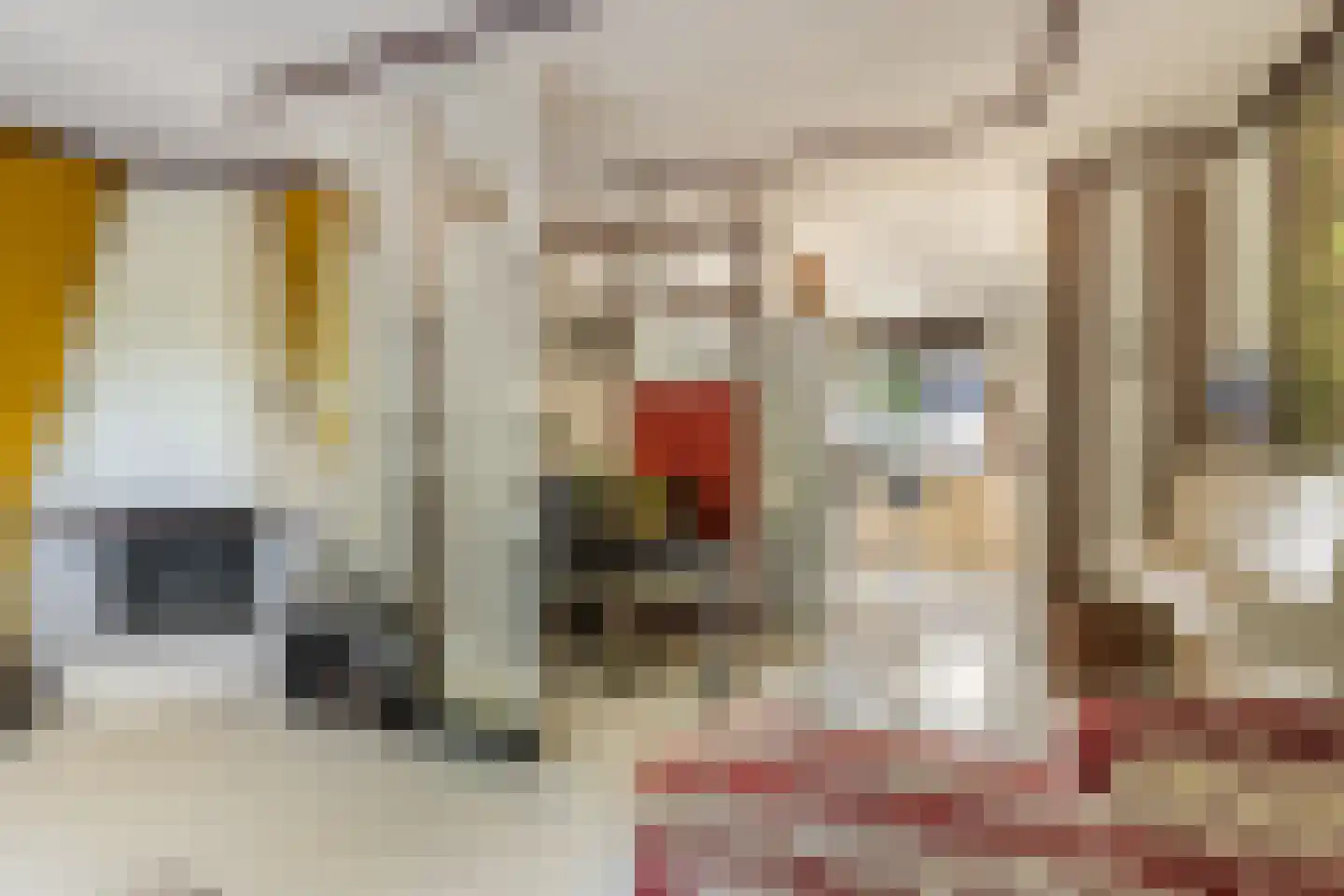Schijflaan 9 Delft thumbnail 13