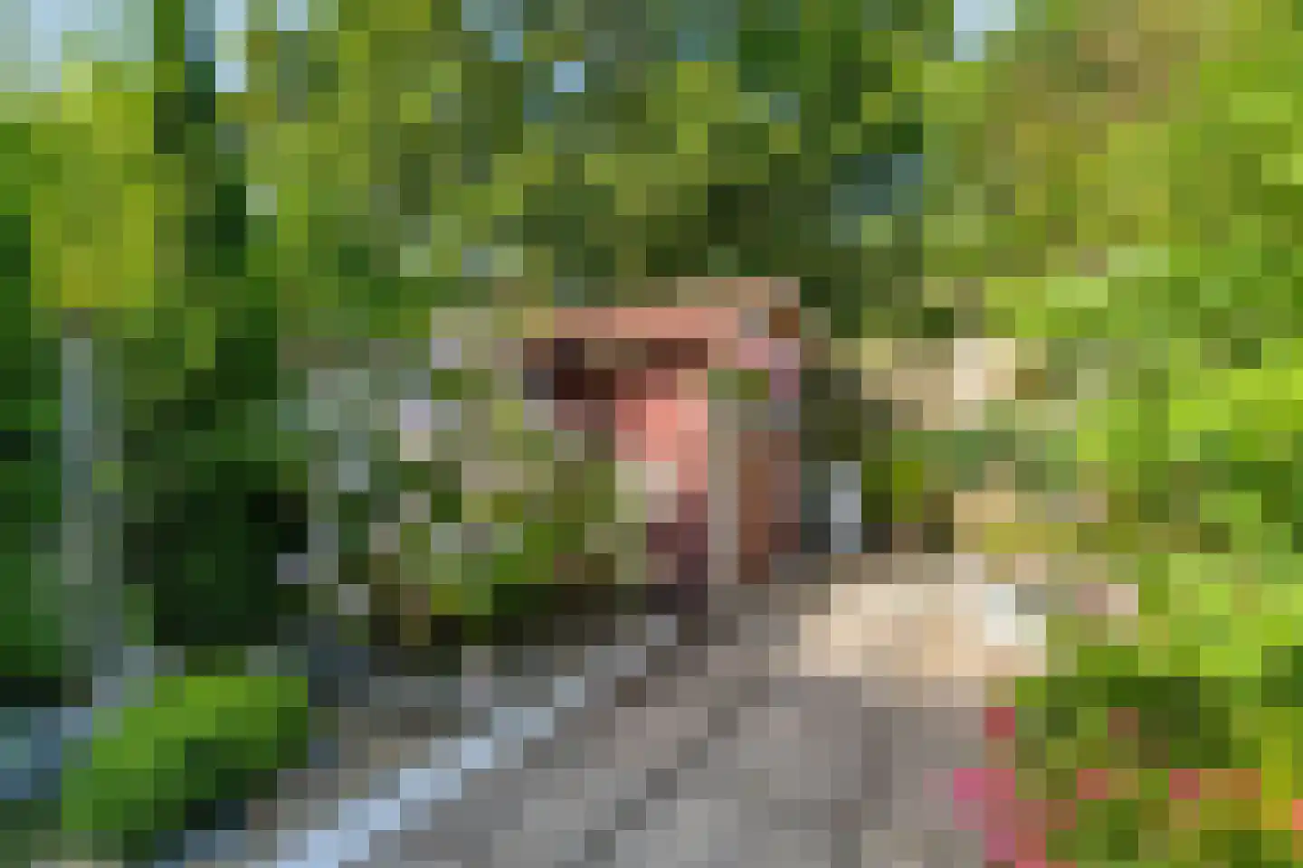 Schijflaan 9 Delft thumbnail 34
