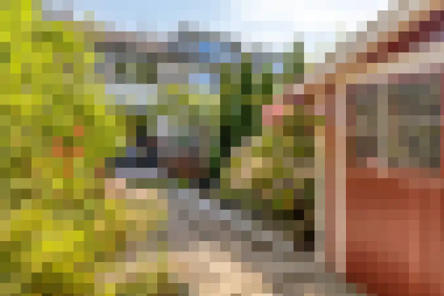 Schijflaan 9 Delft thumbnail 36