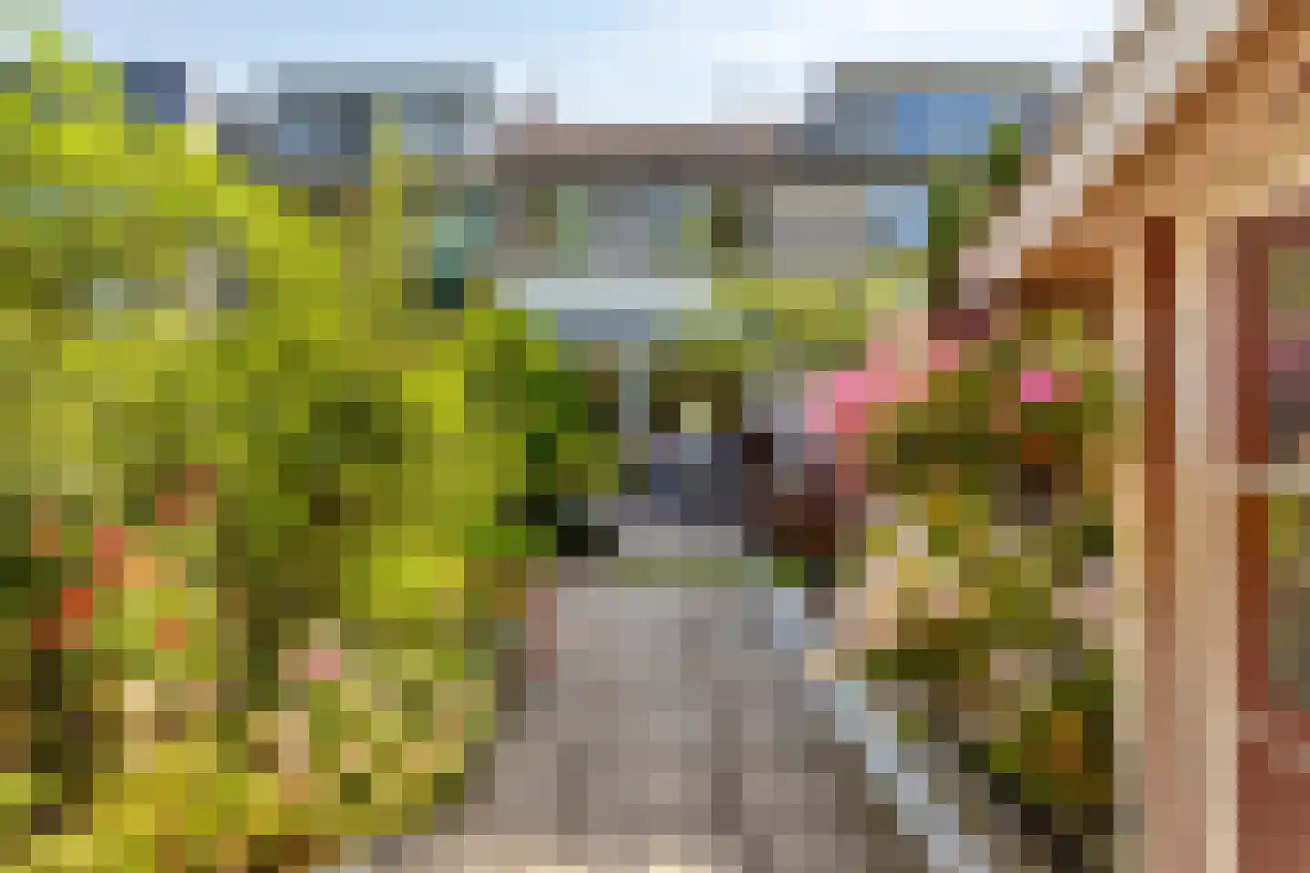 Schijflaan 9 Delft thumbnail 37