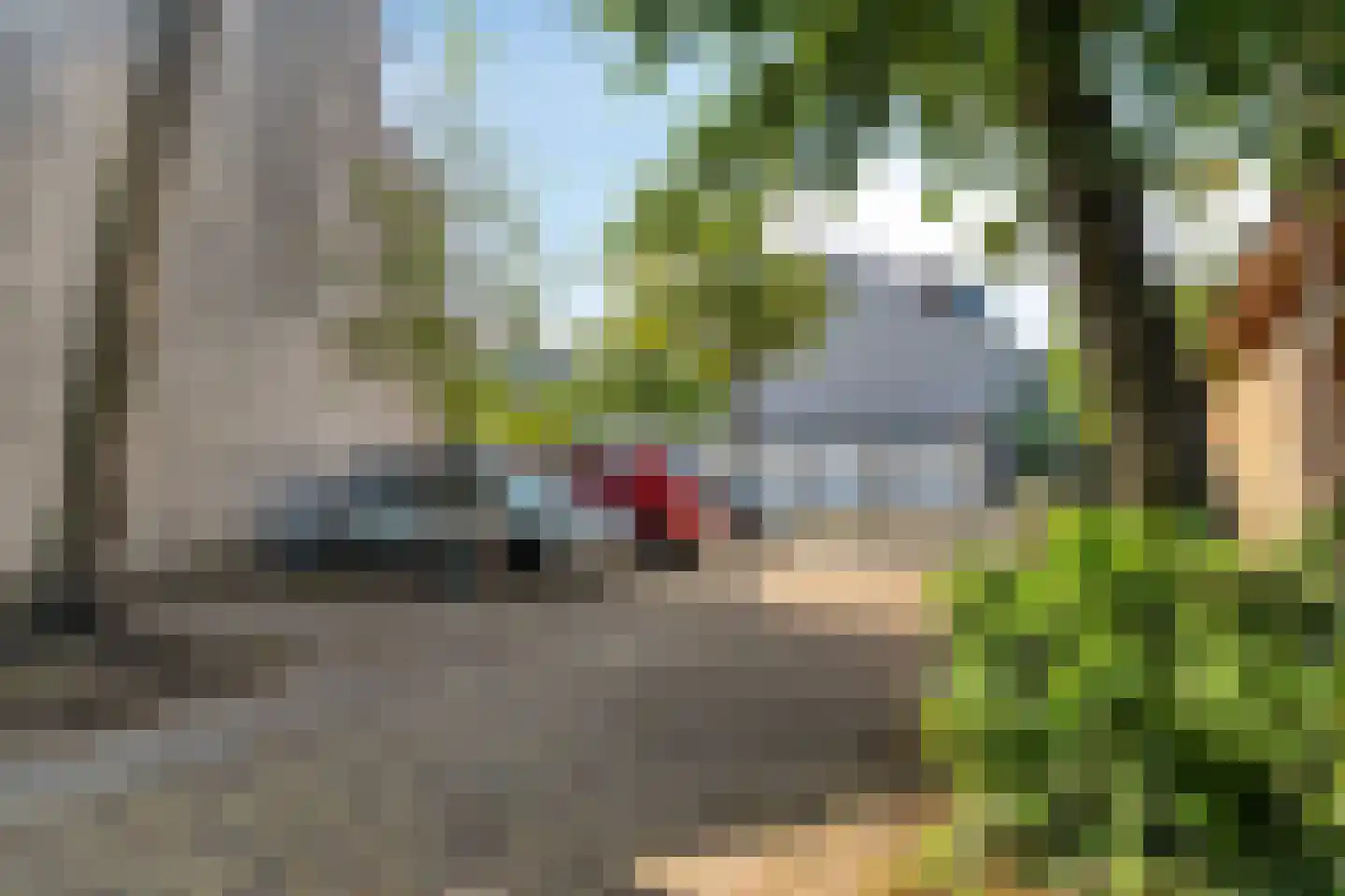 Schijflaan 9 Delft thumbnail 43