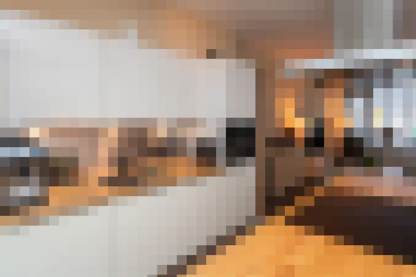 Schijfmos 12 Nieuwerkerk aan den IJssel thumbnail 10