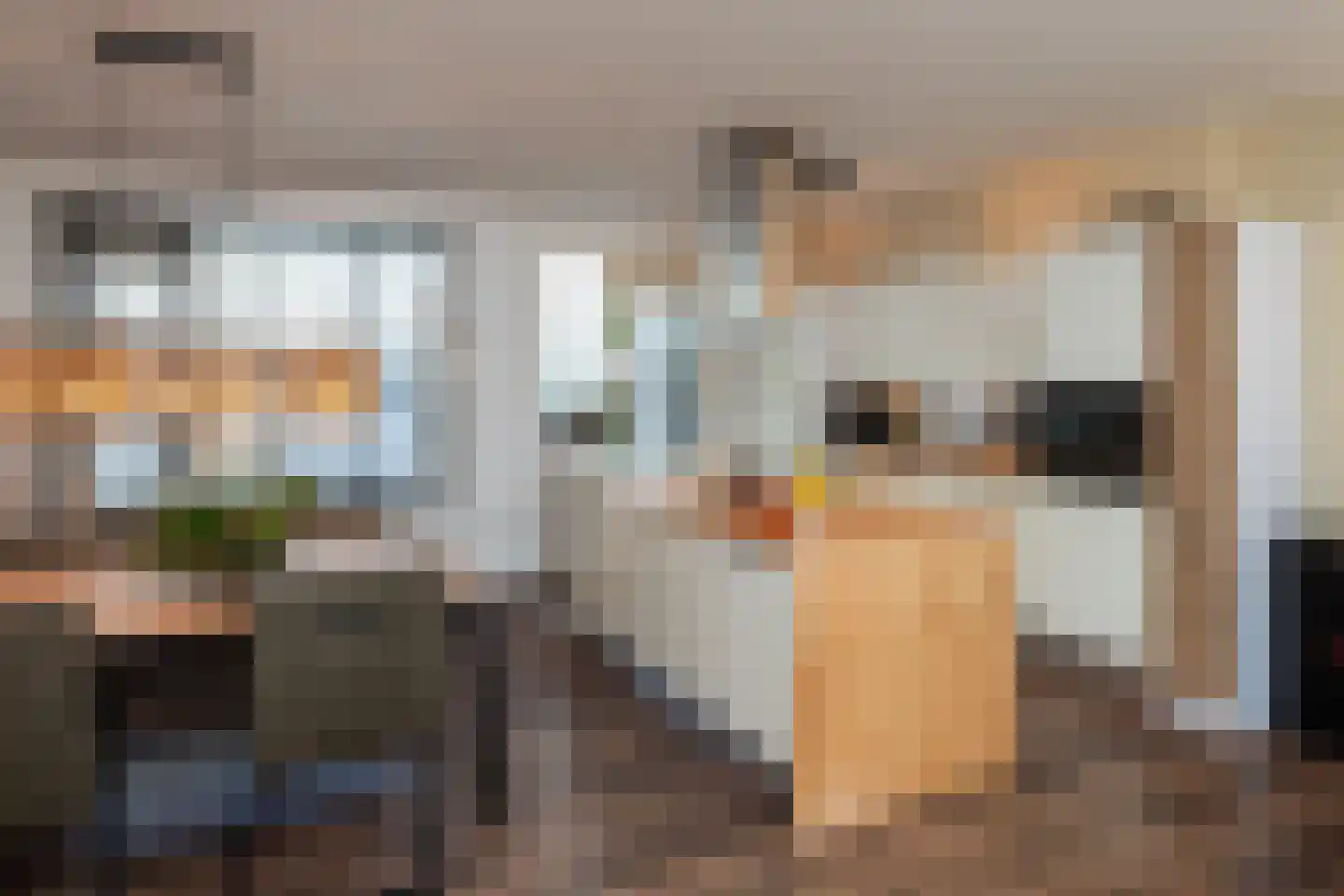 Schijfmos 12 Nieuwerkerk aan den IJssel thumbnail 11