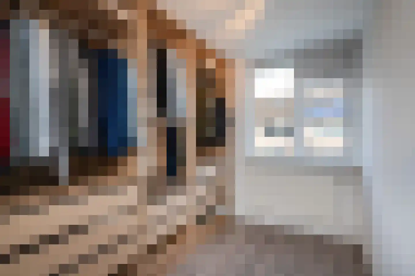 Schijfmos 12 Nieuwerkerk aan den IJssel thumbnail 17