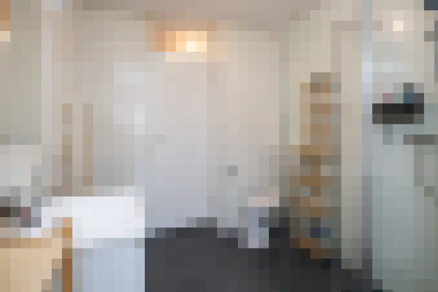 Schijfmos 12 Nieuwerkerk aan den IJssel thumbnail 19