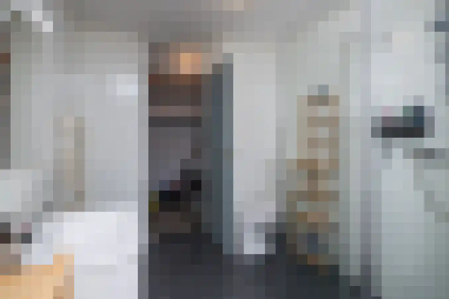 Schijfmos 12 Nieuwerkerk aan den IJssel thumbnail 21
