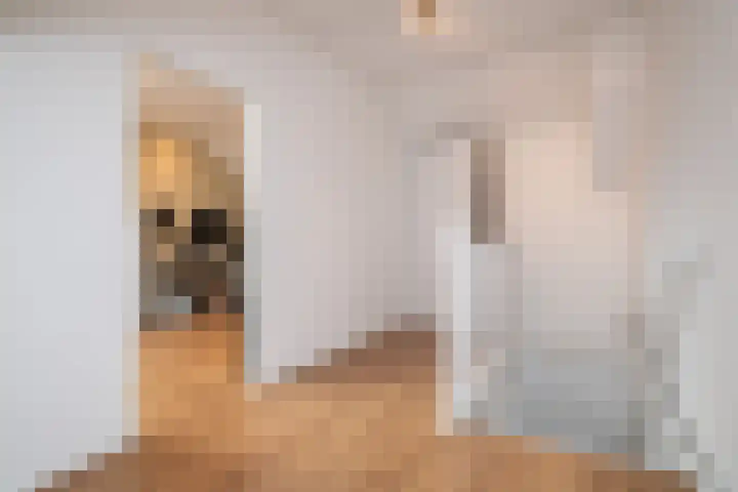 Schijfmos 12 Nieuwerkerk aan den IJssel thumbnail 22