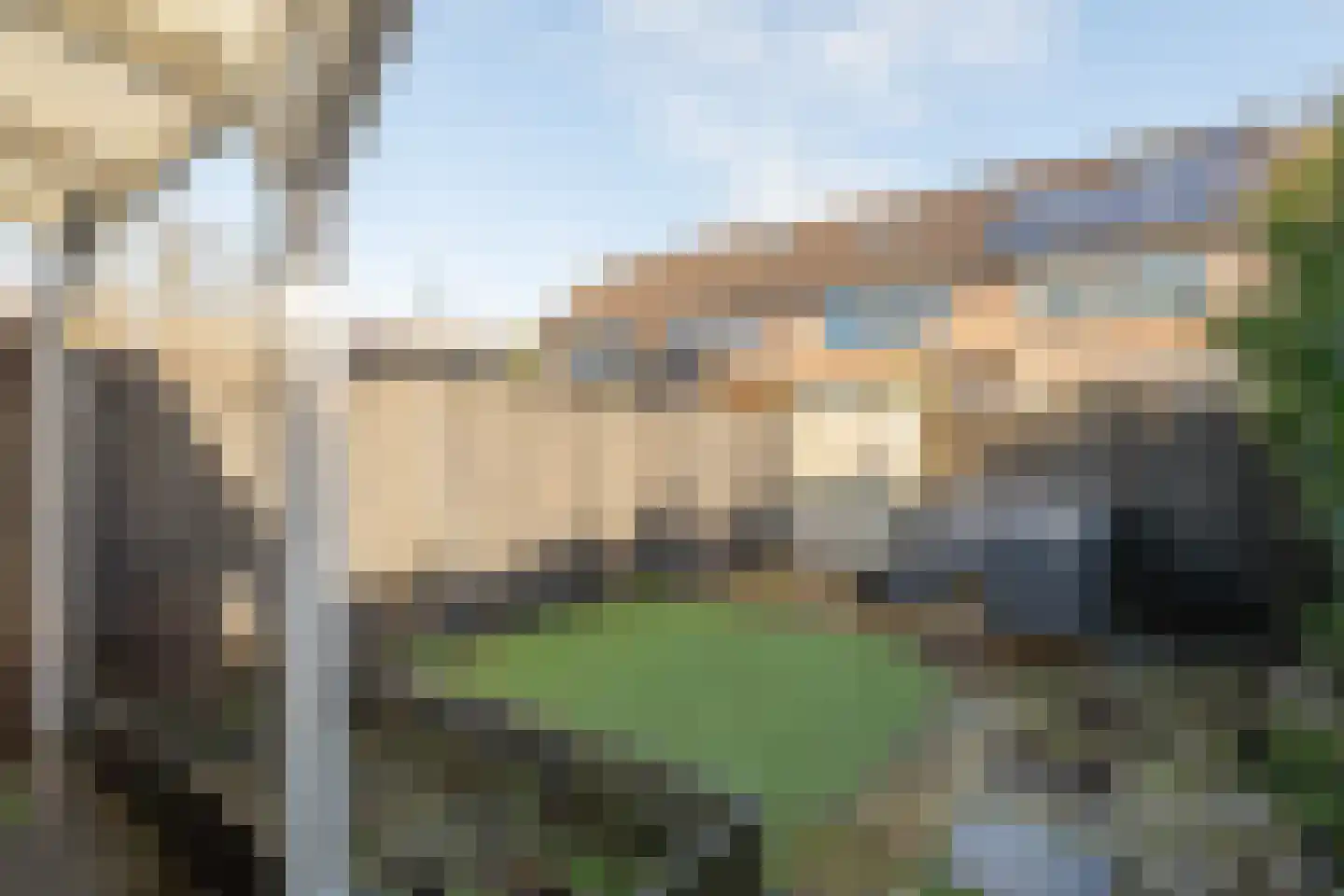 Schijfmos 12 Nieuwerkerk aan den IJssel thumbnail 26