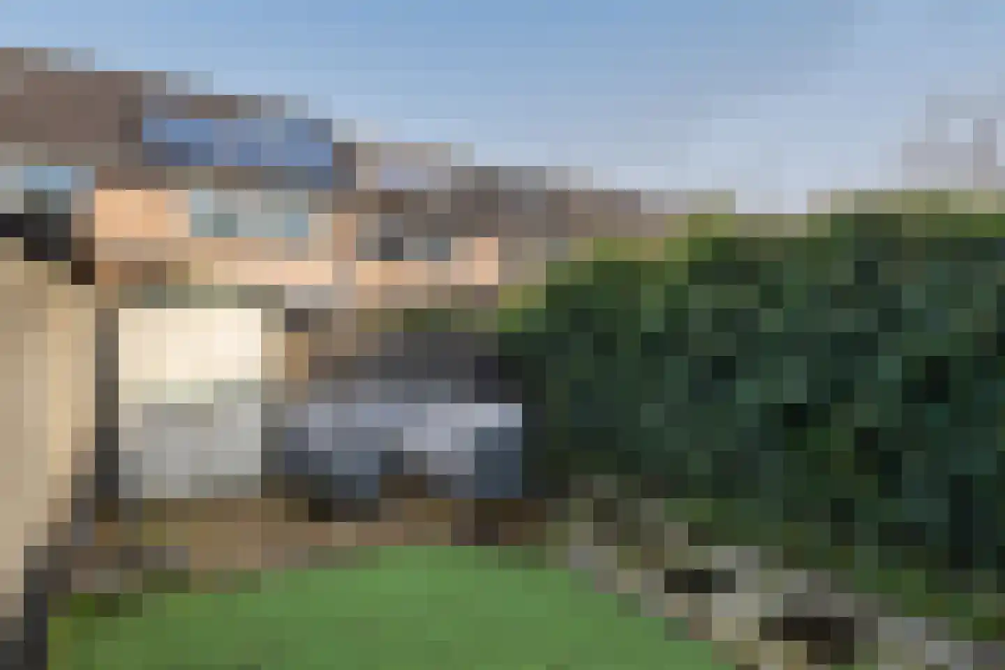 Schijfmos 12 Nieuwerkerk aan den IJssel thumbnail 27