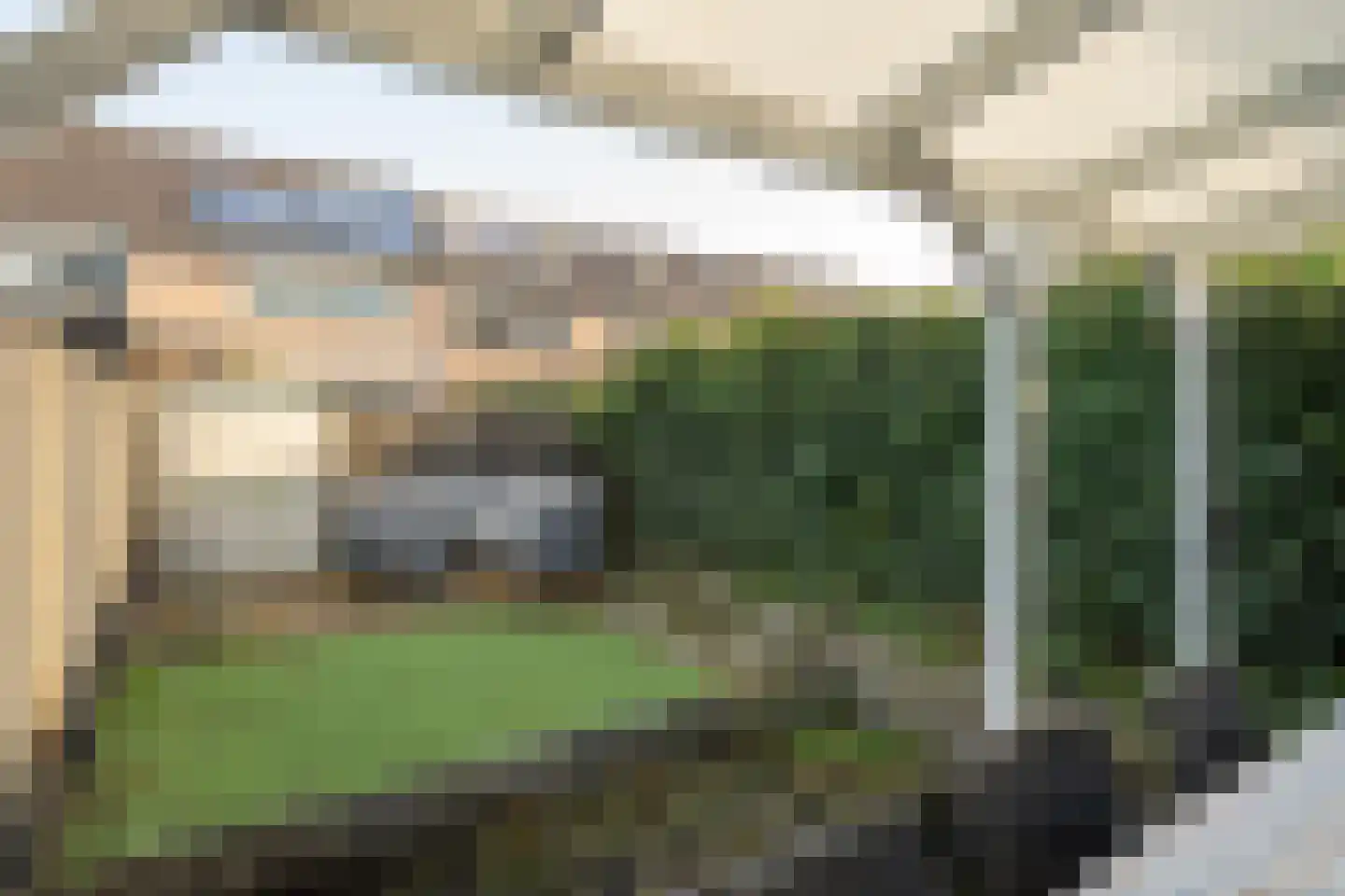 Schijfmos 12 Nieuwerkerk aan den IJssel thumbnail 28