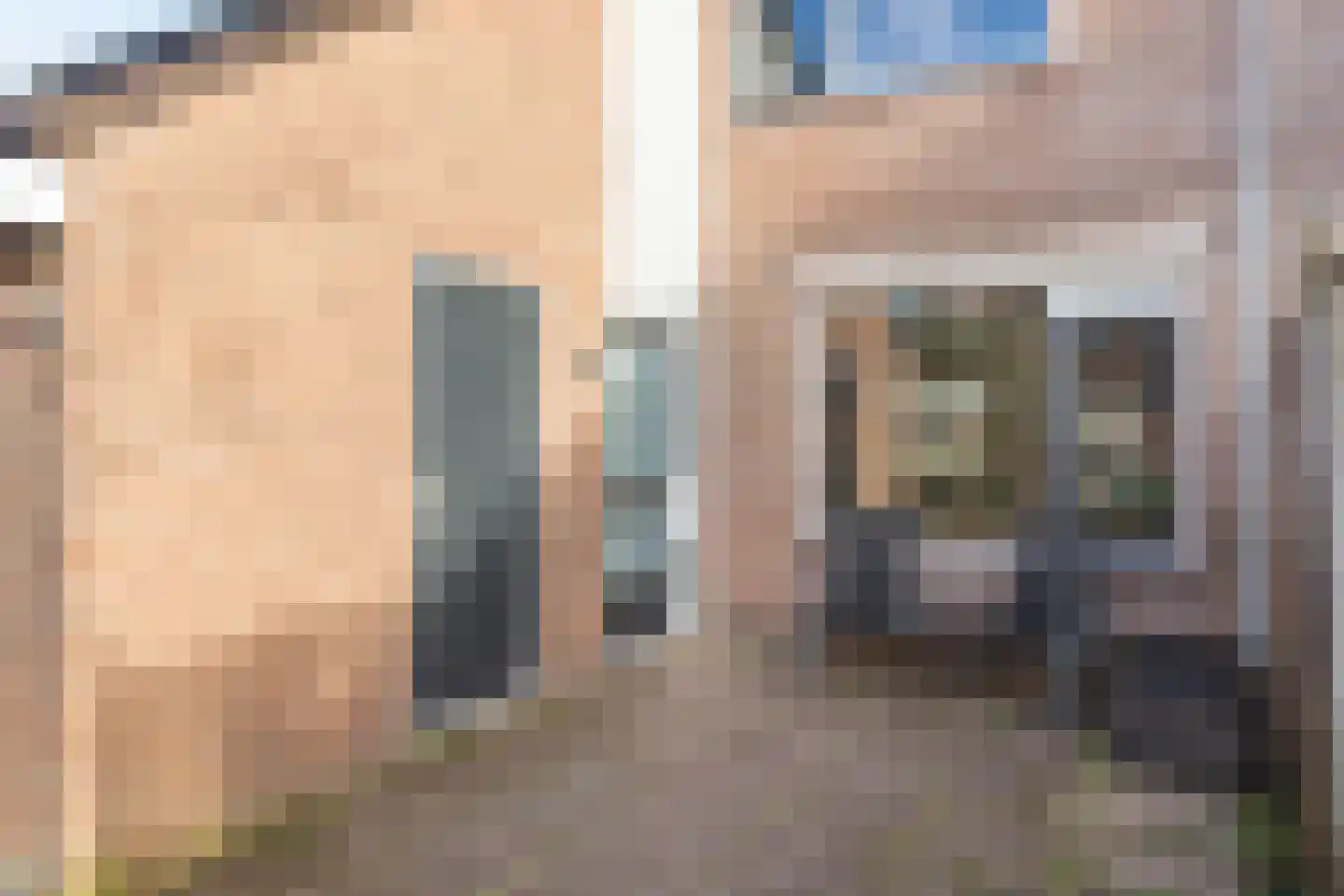 Schijfmos 12 Nieuwerkerk aan den IJssel thumbnail 30