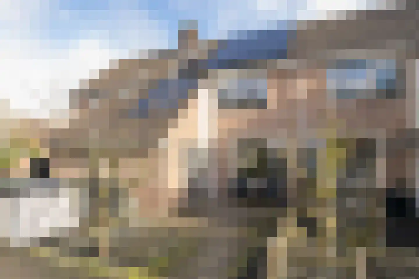 Schijfmos 12 Nieuwerkerk aan den IJssel thumbnail 31